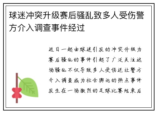 球迷冲突升级赛后骚乱致多人受伤警方介入调查事件经过